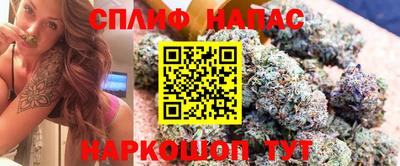 мет Дубна